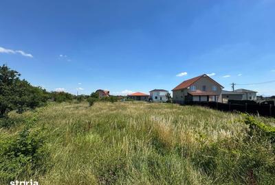 Teren de 700 mp, în Păulești - 2
