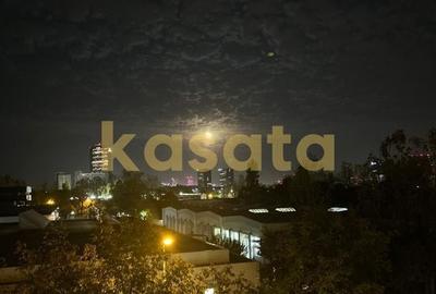 Apartament cu 3 camere decomandat în P-ta Presei Libere - 12