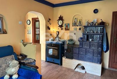 Casă individuală cu 3 camere cu Teren 3288 Mp în Bucea - 4