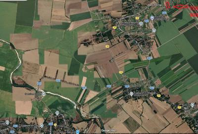 Teren agricol intravilan de 900 mp, în Merii Petchii - 9
