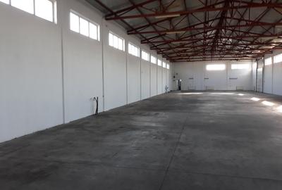 Spațiu comercial, de 517 mp, în Ițcani - 3