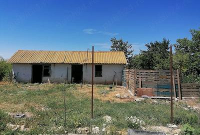Casă cu 5 camere cu Teren 4500 Mp în Poiana - 4