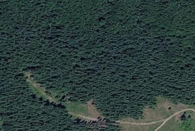 Teren de 19000 mp, în Vișagu