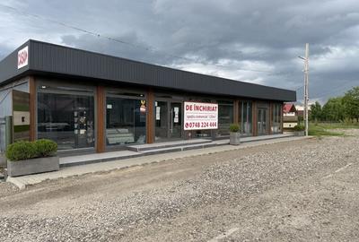 Spațiu comercial, de 120 mp, în Drăgușeni - 8
