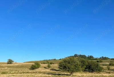 Teren de 2900 mp, în Roșia - 5