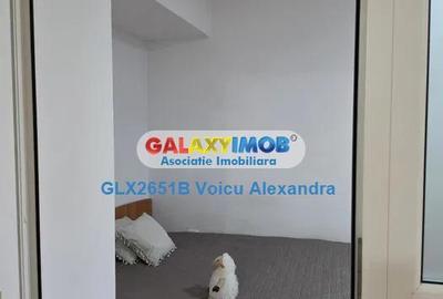 Apartament cu 2 camere decomandat, mobilat în Berceni - 6