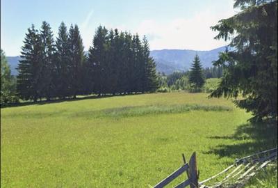 Teren de 6770 mp, în Șaru Dornei