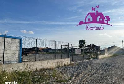 Teren de 3000 mp, în Sântandrei