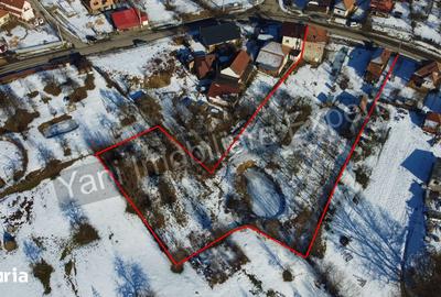 Casă cu 3 camere cu Teren 3877 Mp în Valea Danului