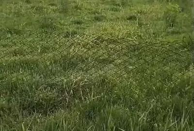 Casă cu 6 camere cu Teren 1400 Mp în Checea - 3