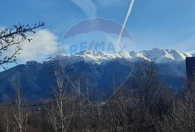 Teren Construcții intravilan de 9735 mp, în Predeluț - 5
