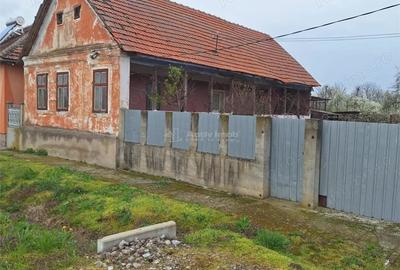 Casă cu Teren 4636 Mp în Central