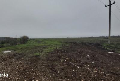 Teren de 11250 mp, în Odăi - 3