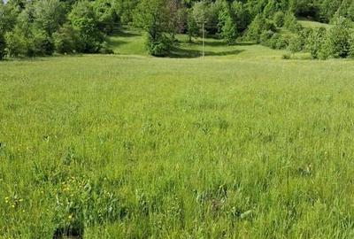 Teren de 10805 mp, în Agăș - 2