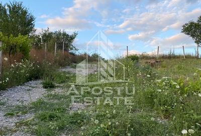 Spațiu comercial, în Baldovin