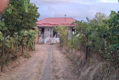 Casă individuală cu 3 camere cu Teren 800 Mp în Hunia