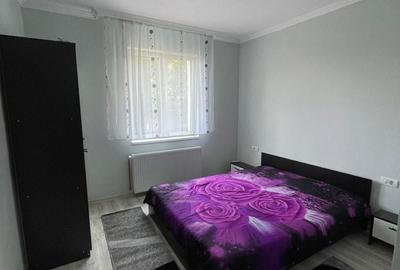Apartament cu 2 camere decomandat în Vladimirescu - 3