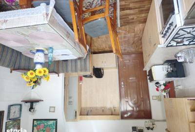 Apartament cu 2 camere decomandat în Nufărul - 18