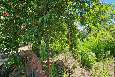 Casă individuală cu 3 camere cu Garaj în Exterior Est - 11