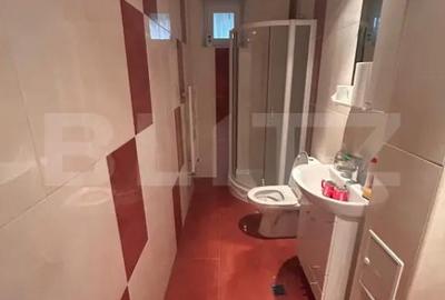 Spațiu comercial, de 120 mp, în Elisabetin - 2