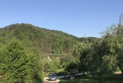 Teren în Central