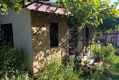 Casă cu 3 camere cu Teren 4300 Mp în Ciucurova - 5