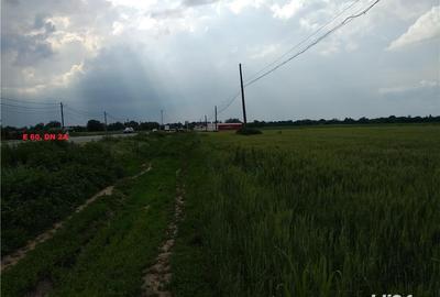 Teren de 43000 mp, în Căzănești