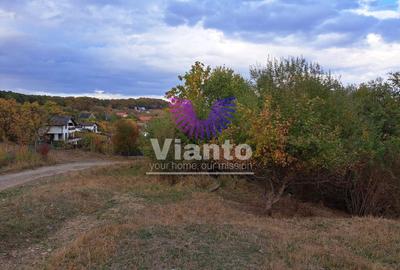 Teren Construcții intravilan de 1000 mp, în Cisnădioara