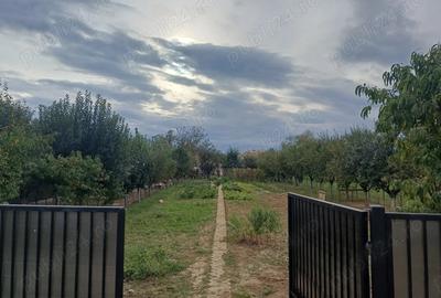 Teren de 1400 mp, în Central