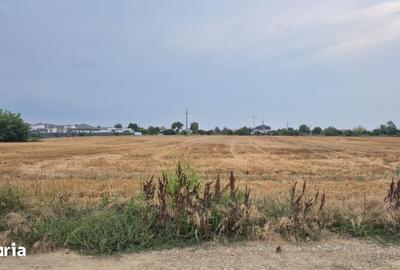 Teren de 730 mp, în Șerbănești