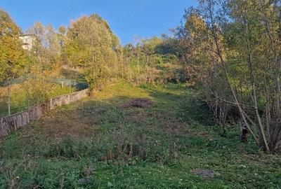 Teren de 839 mp, în Valea Doftanei - 3