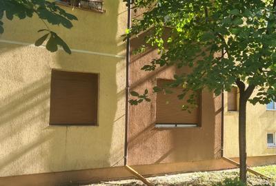 Apartament cu 2 camere semidecomandat, mobilat în Șagului