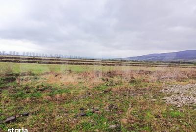 Teren de 9500 mp, în Central - 2