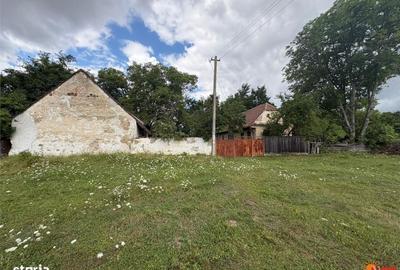 Casă cu 2 camere în Cărpiniș