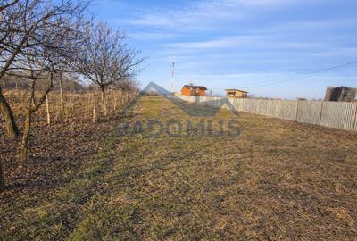 Teren agricol intravilan de 2150 mp, în Albești-Paleologu - 3