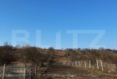 Casă cu 5 camere cu Teren 1350 Mp în Central