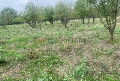 Teren extravilan de 8100 mp, în Est