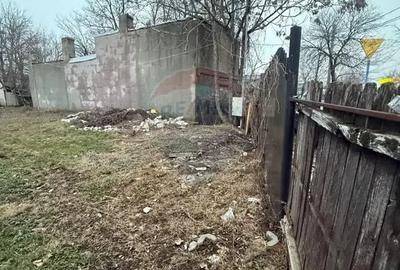 Teren în Alexandriei