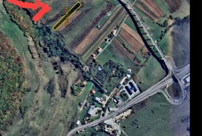 Teren de 3500 mp, în Dosu Bricii