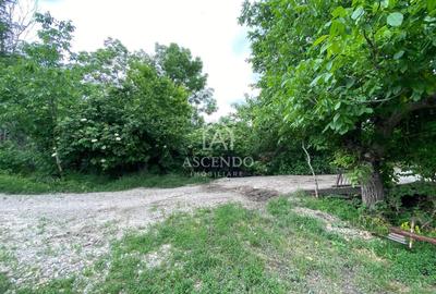 Teren Construcții intravilan de 15900 mp, în Fințești - 26