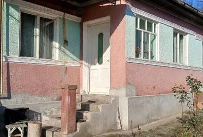 Casă cu 2 camere cu Teren 9000 Mp în Central