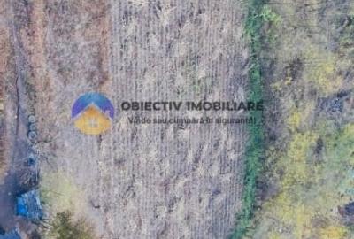 Teren Construcții intravilan de 11766 mp, în Costișa - 5