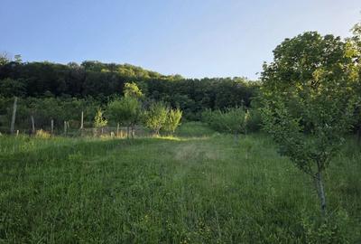 Casă cu Teren 2500 Mp în Central