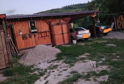 Casă individuală cu 4 camere cu Teren 2840 Mp în Boroșneu Mare - 2