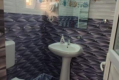 Casă individuală cu 10 camere cu Canalizare în Trocadero - 20