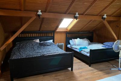 Casă cu 5 camere cu Teren 3000 Mp în Făget