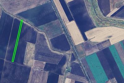 Teren de 10000 mp, în Becicherecu Mic - 2