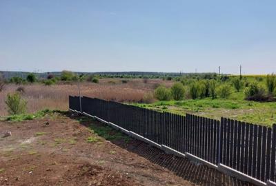 Teren Construcții intravilan de 800 mp, în Sud-Vest - 4