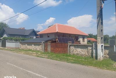 Casă cu 3 camere cu Teren 3427 Mp în Bălești - 1