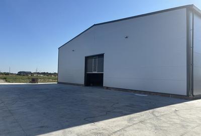 Spațiu industrial, de 600 mp, în Industriilor - 4